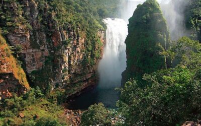 Parque Nacional Noel Kempff Mercado: El Mundo Perdido de Bolivia