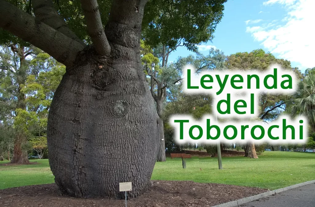 La leyenda del Toborochi