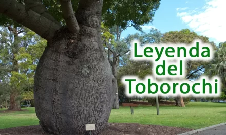 La leyenda del Toborochi